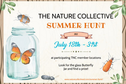 TNC Summer Hunt