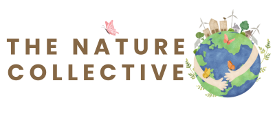 Nature Collective website header