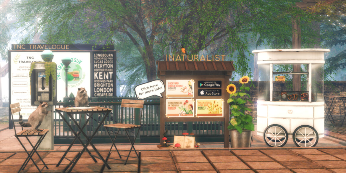 TNC Commons Boards
