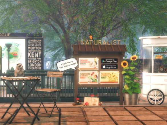 TNC Commons Boards