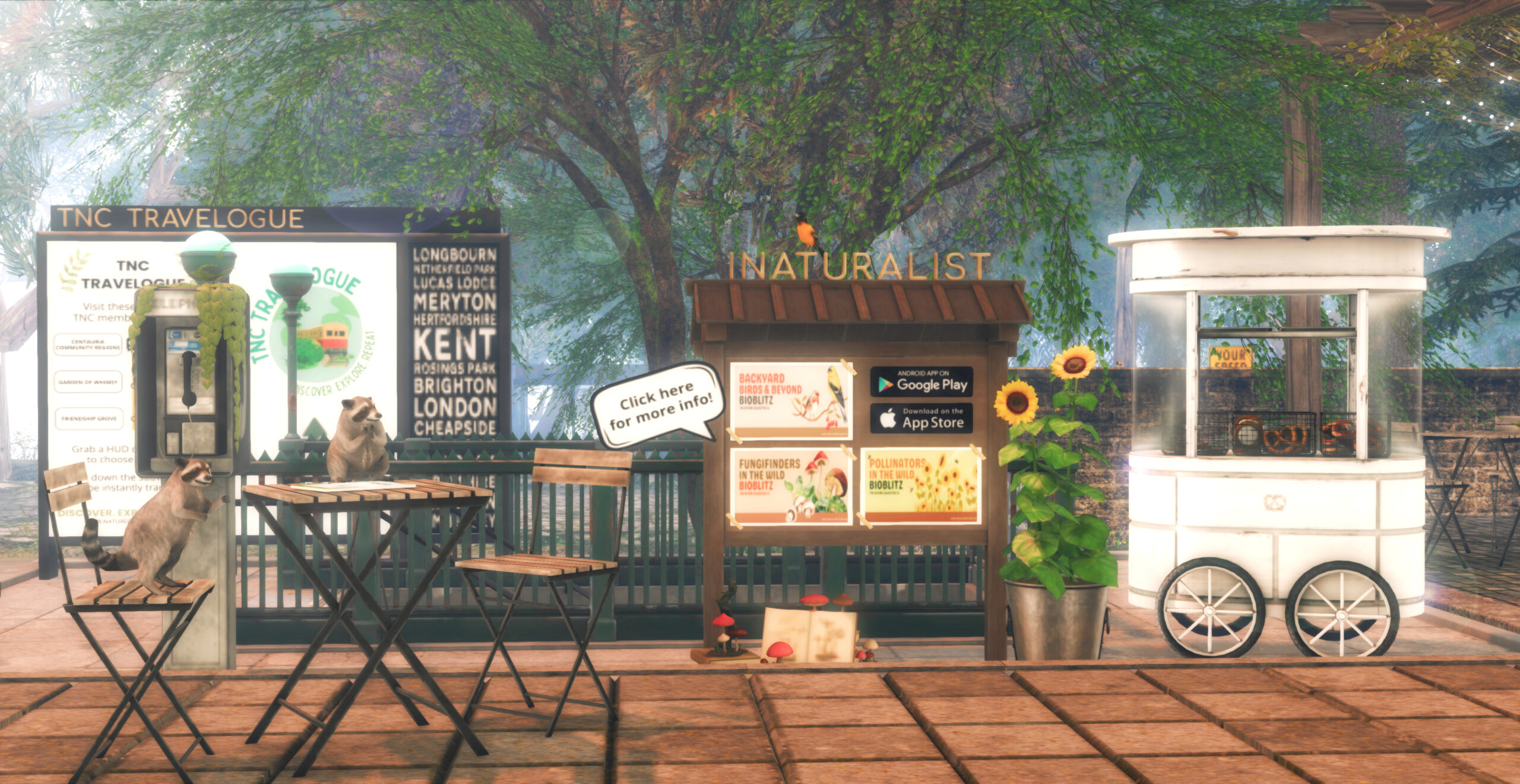 TNC Commons Boards
