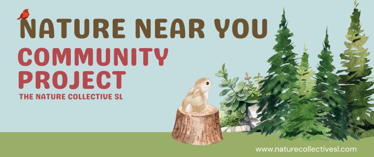 Nature Near You Community Project header image